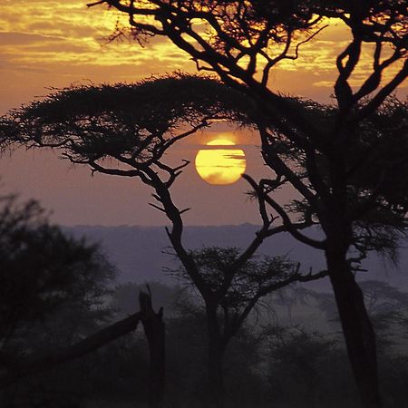 Sanctuary Swala Hotel Babati Exterior foto