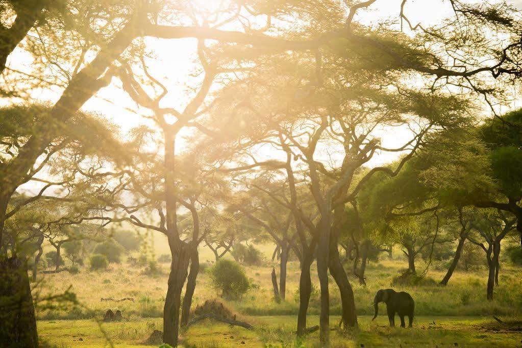 Sanctuary Swala Hotel Babati Exterior foto