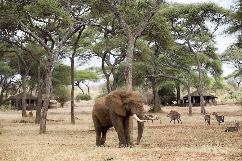 Sanctuary Swala Hotel Babati Exterior foto